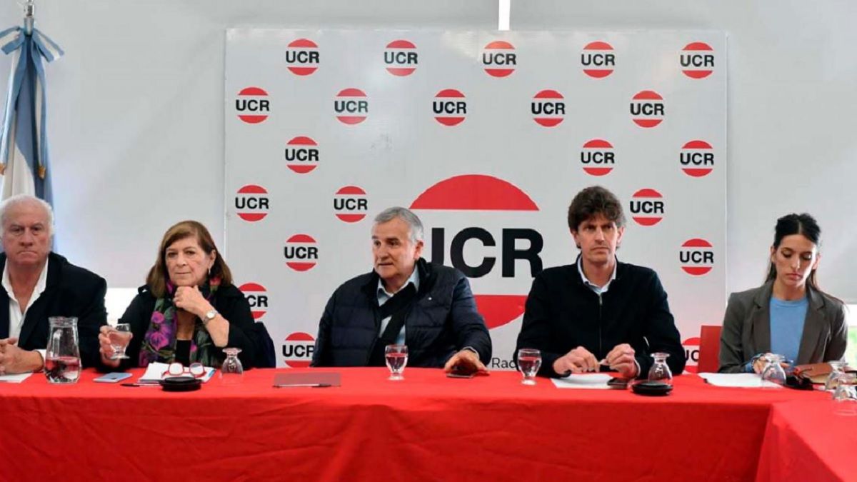 La UCR respondió a los ataques de Javier Milei La incitación a la