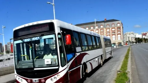 Paro De Colectivos En Mar Del Plata Por Tiempo Indeterminado En Reclamo