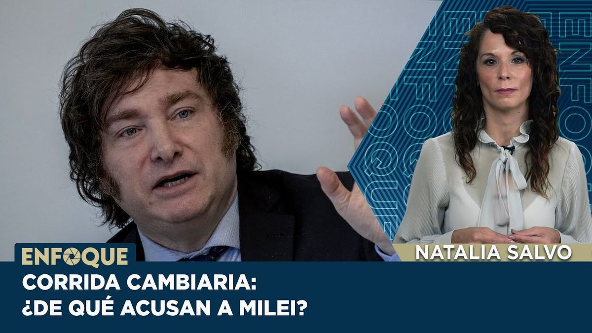 Corrida cambiaria de qué se lo acusa a Milei