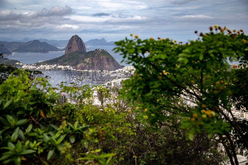 Vacaciones En Brasil Qu Documentaci N Necesito Para Viajar En Auto En