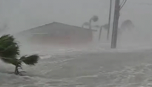 los videos mas impactantes del paso del huracan helene por estados unidos los videos mas impactantes del paso del huracan helene por estados unidos