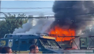 una avioneta se estrello contra un colectivo en brasil: dos muertos una avioneta se estrello contra un colectivo en brasil: dos muertos