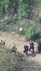 Río de Janeiro sufrió una masacre por el megaoperativo. Río de Janeiro sufrió una masacre por el megaoperativo.