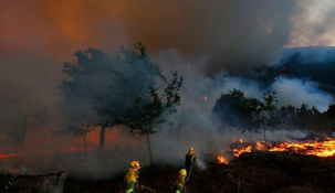 El Gobierno incluirá en Extraordinarias un proyecto para agravar la pena a quienes provoquen incendios