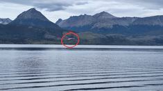 La imagen se viralizó en redes sociales. La imagen se viralizó en redes sociales.