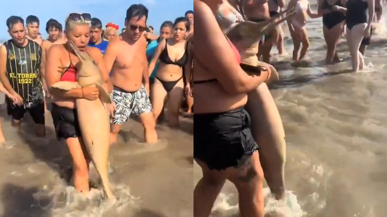 Turistas jugaron y se fotografiaron con un delfín muerto en Santa Teresita.