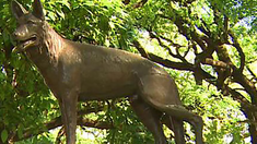 Una escultura de bronce y un pasaje de la Ciudad de Buenos Aires recuerdan la historia de este perro héroe. Una escultura de bronce y un pasaje de la Ciudad de Buenos Aires recuerdan la historia de este perro héroe.