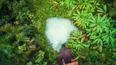 Este rincón mágico de Brasil ofrece una experiencia única para los amantes del ecoturismo. Este rincón mágico de Brasil ofrece una experiencia única para los amantes del ecoturismo.