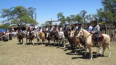 Huellas de Tradición: la fiesta criolla que revive las costumbres del campo.