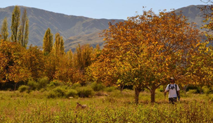 Un destino en la Argentina que no es masivo. Un destino en la Argentina que no es masivo.