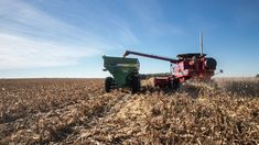 El agro produjo una exportación récord en tan sólo tres días. El agro produjo una exportación récord en tan sólo tres días.