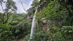 El Salto Rosa Mística: una cascada agreste y sin intervenciones turísticas que permanece fuera del radar de la mayoría. El Salto Rosa Mística: una cascada agreste y sin intervenciones turísticas que permanece fuera del radar de la mayoría.