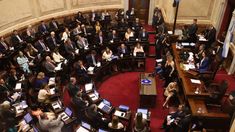 Los senadores explicaron que se se recortan los sueldos, los únicos que podrían ser políticos serían los millonarios.