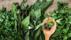 La hierba medicinal que nadie contempla y sirve para purificar los riñones. La hierba medicinal que nadie contempla y sirve para purificar los riñones.