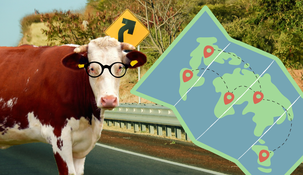 Video: le preguntan a una vaca que camino tomar y la respuesta se volvió viral&nbsp;