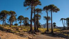 El pueblo de la Patagonia que te encandila con su belleza. El pueblo de la Patagonia que te encandila con su belleza.