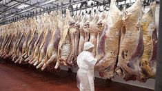 Habilitan el registro para exportar carne argentina a Estados Unidos en 2026