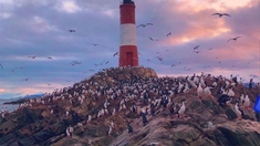 Ushuaia tiene algo difícil de explicar: paisajes imponentes, silencio patagónico y una energía que hace que muchos viajeros quieran regresar apenas se van.