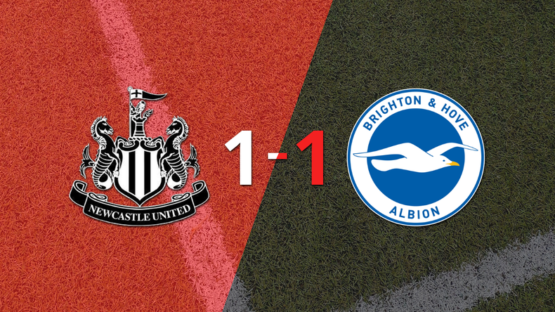 Brighton and Hove empató 1-1 en su visita a Newcastle United
