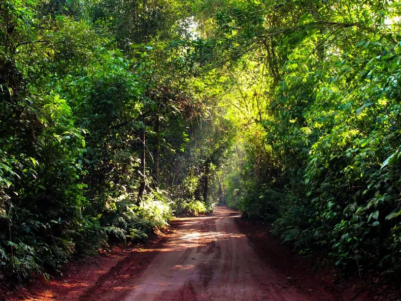 El denunciante encontró al taxista y la niña en la Reserva Selva Iryapú mientras realizaba ejercicio.