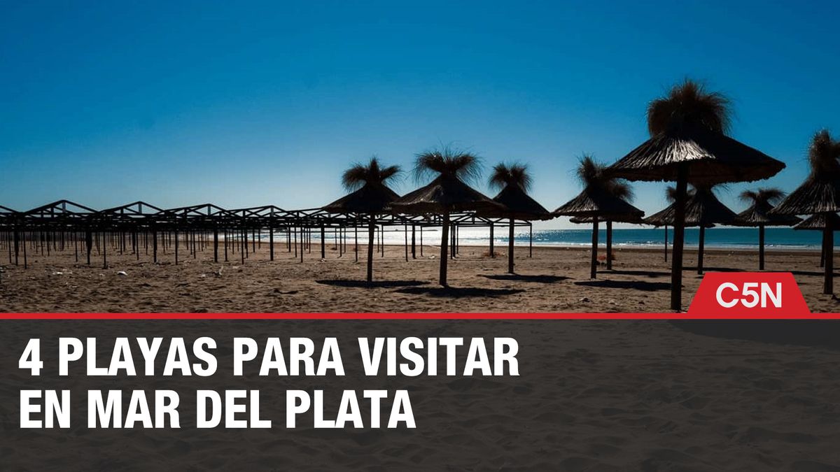 Verano 2023 4 playas para visitar en Mar del Plata