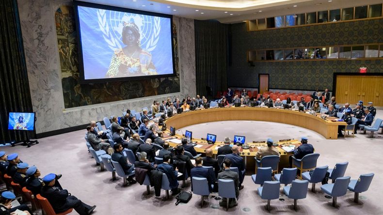 El Consejo de Seguridad de las Naciones Unidas.