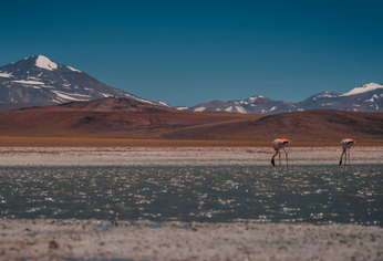 Laguna Brava, la imponente reserva natural argentina ideal para conocer en el otoño.&nbsp;
