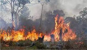 Chubut: un cigarrillo mal apagado provocó el incendio de 110 hectáreas