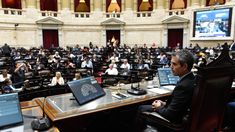 El rechazo o aprobación del Decreto 70/23 depende de la Cámara de Diputados
