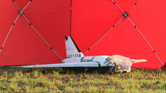 Uno de los drones derribados. Uno de los drones derribados.