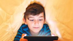 Las preocupaciones de los padres sobre el uso de Internet de sus hijos. Las preocupaciones de los padres sobre el uso de Internet de sus hijos.