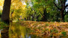 Villa 25 de Mayo se ubica a menos de 230 kilómetros de Mendoza capital Villa 25 de Mayo se ubica a menos de 230 kilómetros de Mendoza capital