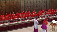 Los cardenales elegirán al sucesor del papa Francisco. Los cardenales elegirán al sucesor del papa Francisco.