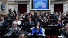 Diputados rechazó los vetos de Javier Milei a la Emergencia Pediátrica y el Financiamiento Universitario Diputados rechazó los vetos de Javier Milei a la Emergencia Pediátrica y el Financiamiento Universitario