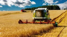 Argentina comenzará a exporta trigo a China: desde el sector cerealero destacan que es una posibilidad historica Argentina comenzará a exporta trigo a China: desde el sector cerealero destacan que es una posibilidad historica