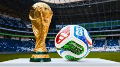 El seleccionado deberá hacer cuarentena antes de viajar. El seleccionado deberá hacer cuarentena antes de viajar.