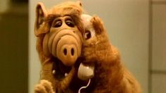 El regreso de Alf se vio manchado por esta decisión de América TV. El regreso de Alf se vio manchado por esta decisión de América TV.