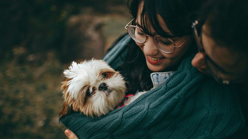 Sin embargo, la ciencia del comportamiento animal comenzó a mostrar que este gesto puede no ser tan placentero para los perros, e incluso puede generarles ansiedad o una necesidad de defensa.  