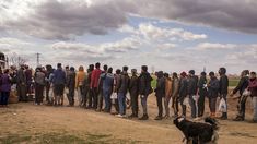 La fila de refugiados cerca de la frontera. La fila de refugiados cerca de la frontera.