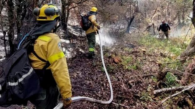 La medida permitirá iniciar de manera automática acciones penales y patrimoniales contra quienes provoquen incendios, ya sea por negligencia o intencionalidad.&nbsp;