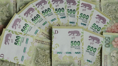 El pago del bono de fin de año estará a cargo de ANSES. El pago del bono de fin de año estará a cargo de ANSES.