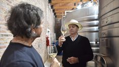El documental refleja el esfuerzo de los productores, el crecimiento de la industria y el impulso al enoturismo.