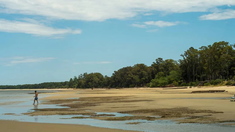 Uno de los tesoros mejor guardados y más auténticos del corredor turístico uruguayo. Uno de los tesoros mejor guardados y más auténticos del corredor turístico uruguayo.