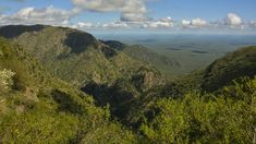 La exploración del área se hace más fácil gracias a los senderos señalizados que permiten el avistaje de aves y el reconocimiento de flora autóctona. La exploración del área se hace más fácil gracias a los senderos señalizados que permiten el avistaje de aves y el reconocimiento de flora autóctona.
