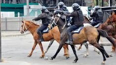 Jujuy: la Secretaría de Derechos Humanos pidió a la Justicia Federal investigar la represión. Jujuy: la Secretaría de Derechos Humanos pidió a la Justicia Federal investigar la represión.
