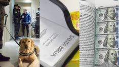 La AFIP incautó los dólares que iban desde el Aeropuerto de Ezeiza a EEUU camuflados en biblias. La AFIP incautó los dólares que iban desde el Aeropuerto de Ezeiza a EEUU camuflados en biblias.