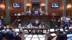 Los apoyos a la iniciativa del oficialismo (PRO) vinieron de casi todo el espectro político.