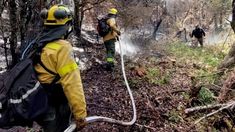 La medida permitirá iniciar de manera automática acciones penales y patrimoniales contra quienes provoquen incendios, ya sea por negligencia o intencionalidad.&nbsp;