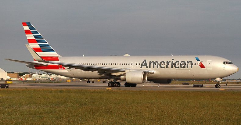El hecho se produjo en un avión de American Airlines.