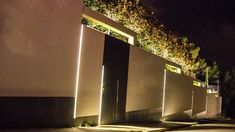 Gentileza: DIARIO GOL Gentileza: DIARIO GOL